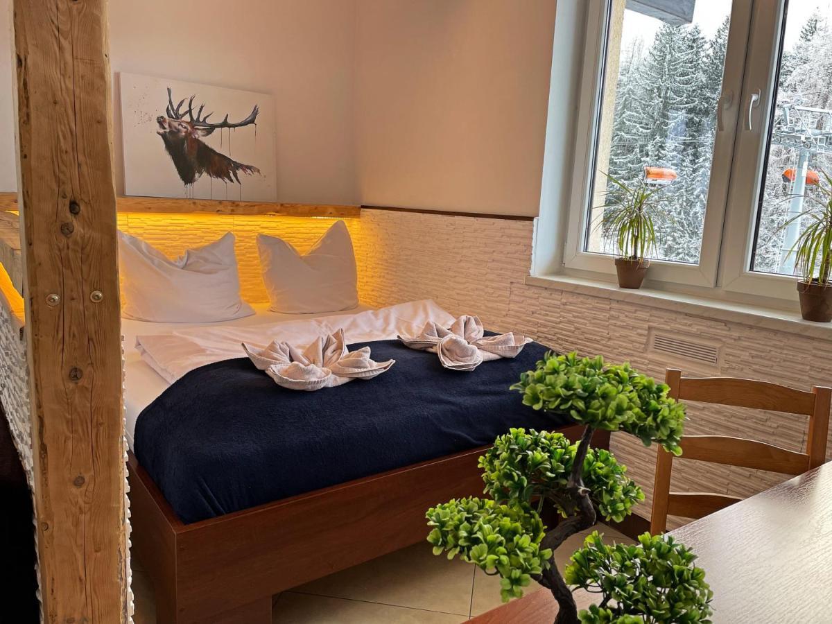 Safir Przy Samym Wyciagu Bed & Breakfast Karpacz Ngoại thất bức ảnh